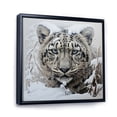 thumbnail image 2 of Designart "A Winter Portrait of a White Tiger III" Animals Floater Framed Canvas Wall Art, 2 of 7