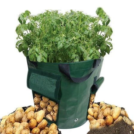 Potato Grow Bags 15 Gallon Garden Planter Plant Growing Bag With 2 Access Flap Heavy Duty And Durable Pots For Vegetables Fruit Carrot Potato Grow Bags 15 Gallon Garden Planter Plant Growing Bag With 2 Access Flap Heavy Duty And Durable Pots For Vegetables Fruit Carrot