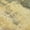Sage, variant on Addison Rugs Chantille Indoor/Outdoor Transitional Modern Brown Washable Rectangle Rug, 10' x 14'