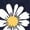 Navy, variant on Cute Daisy Floral Tshirt for Women Plus Size Crewneck 3/4 Sleeve Tops Going Out Tunic Basic T Shirt