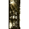 thumbnail image 2 of Berzel, Erin 15x32 Black Ornate Wood Framed with Double Matting Museum Art Print Titled - Sepia Shadows II, 2 of 4
