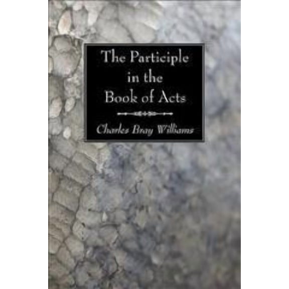 The Participle in the Book of Acts (Paperback)