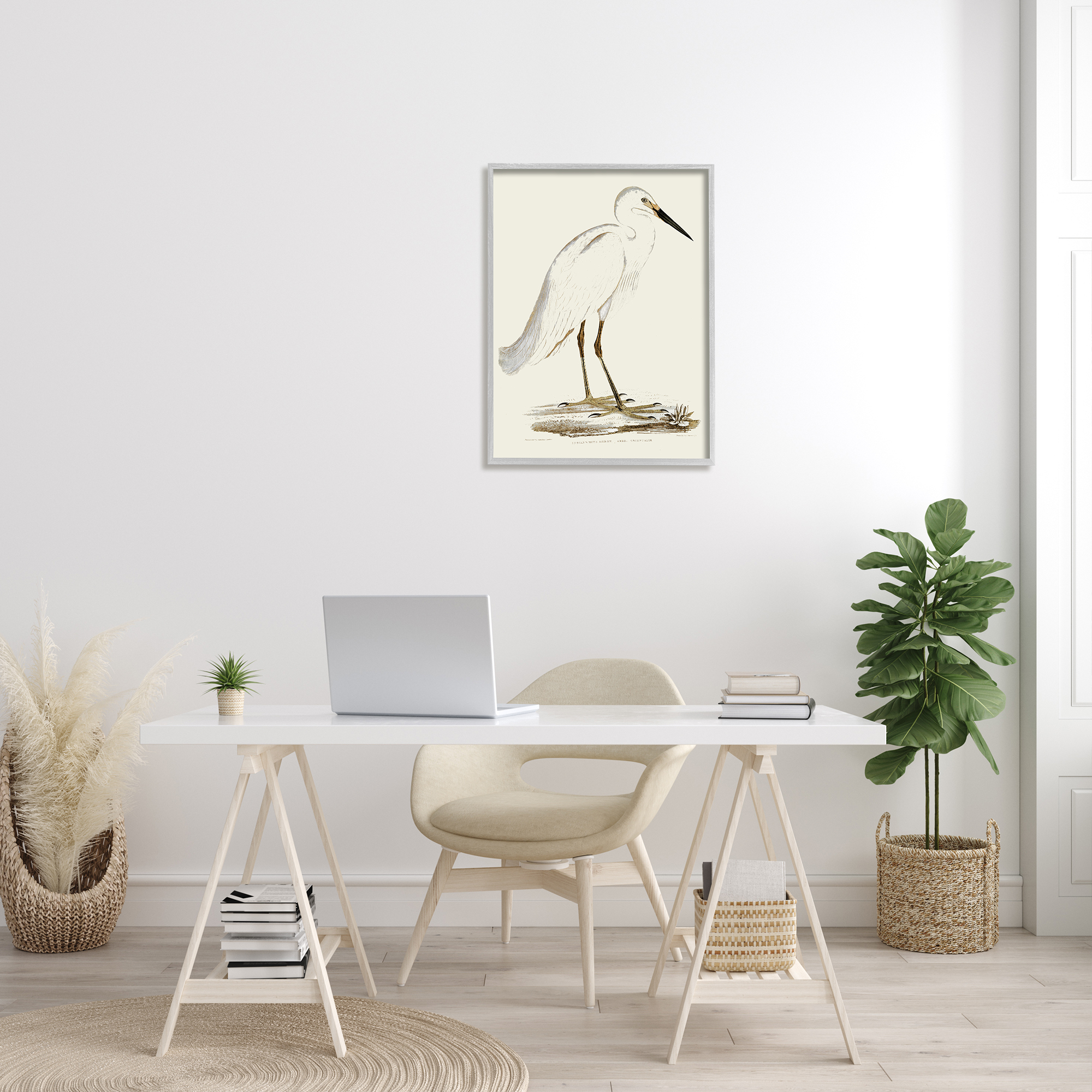 Stupell Industries Vintage Egret Latin Study Marsh Bird Illustration, 24 x 30, Designed by Daphne Polselli