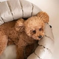 thumbnail image 3 of Pet Purse - Style A, 3 of 12