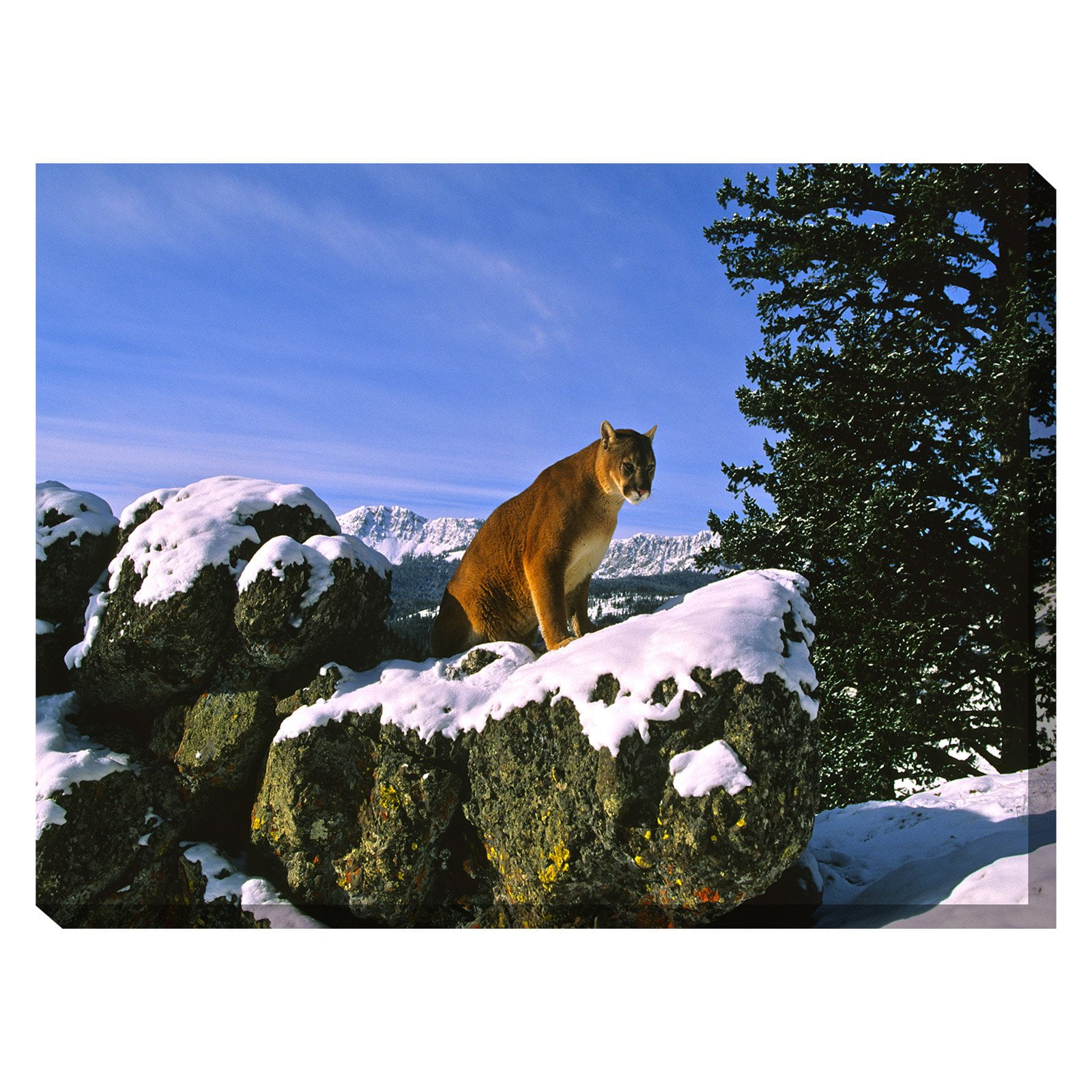 Outdoor Waterproof and Weatherproof Wall Canvas Art, MOUNTAIN MAJESTY