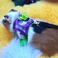 thumbnail image 3 of SPRING PARK Guinea Pig Harness and Traction Rope Soft Mesh Small Pet Harness with Bow-knot Decor, No Pulling Comfort Padded Vest for Small Animals, 3 of 7