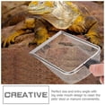 thumbnail image 4 of unbranded 2Ud Para Arena De Reptiles De Inoxidable Con Y Mango Cómodo Para Terrarios, 4 of 8