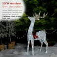 thumbnail image 4 of Alpine Corporation WDR152 Lawn Decoration, 50 in, Multicolor, 4 of 14