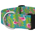 thumbnail image 5 of Country Brook Petz® 1 1/2 inch Deluxe Flamingos Dog Collar, Extra Large, 5 of 5