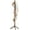 Brown, variant on Wooden Coat Rack Stand with 8 Hooks New Zealand Pine 3 Adjustable Coat Standing Tree Easy Assembly for Coats, Hats, Scarves and Handbags for Entryway, Hallway, Bedroom, Office,2 PCS
