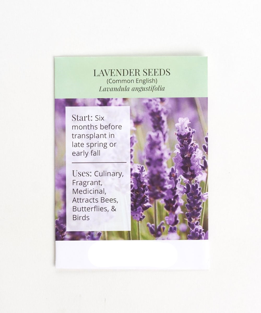 Home Botanicals Lavender Seeds Pack Of 100 Walmart Com Walmart Com