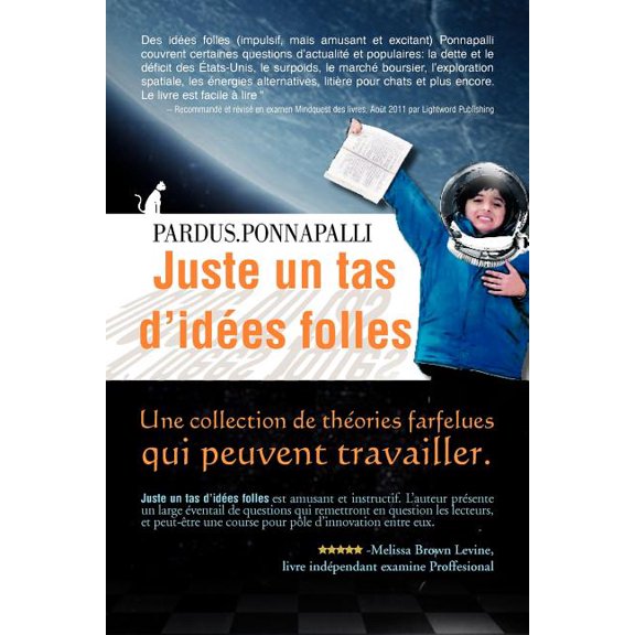 Juste Un Tas D'Id Es Folles: Une Collection de Th Ories Farfelues Qui Peuvent Travailler (Paperback)