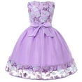thumbnail image 3 of Girl's Embroidered Dress Girl's Evening Lace Princess Dress Flower Girl Mesh Fluffy Dress, 3 of 8