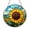 Acrylic 3.5 Inch, variant on Golden Sunflower Blossom Round Stained Glass Suncatcher, Floral Window Hanging Decorative Art Panel for Cottage Style Home Decor