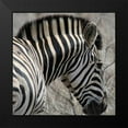 thumbnail image 2 of Underdahl, Dana 20x20 Black Modern Framed Museum Art Print Titled - Sarari Zebra VI, 2 of 5