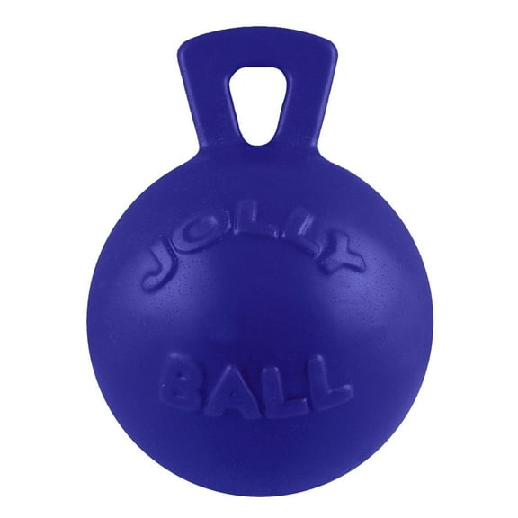 Tug-N-Toss Ball Dog Toy, 10 in.