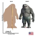 thumbnail image 5 of Advanced Graphics King Shark Cardboard Cutout 70x45 in Multicolor, 5 of 5