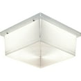 thumbnail image 2 of Hard-Nox Collection Two-Light Wall or Ceiling Fixture, 2 of 2