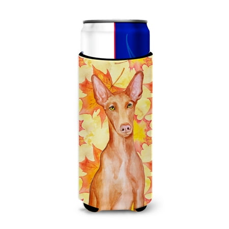 

Carolines Treasures BB9976MUK Pharaoh Hound Fall Michelob Ultra Hugger for slim cans Slim Can multicolor