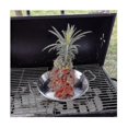 thumbnail image 5 of Vertical Skewer For Grill-al Pastor Skewer Brazilian Vertical Spit Stand For Tacos Al Pastor, Shawarma, Kebabs-eyzi, 5 of 5