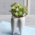 thumbnail image 2 of Jiandong Small Cactus Pot 6pc Tooth Shaped Ceramic Succulent Planter Pots for Home/Office Decor(2.76X2.76X3.94Inch), 2 of 11