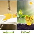 thumbnail image 4 of 40 Pack Fungus Gnat Traps for House Indoor Yellow Sticky Traps for Gnats Sticky Traps for Plants, Dual-Sided Fungus Gnat Sticky Traps Fruit Fly Traps for Indoors, 4 of 5