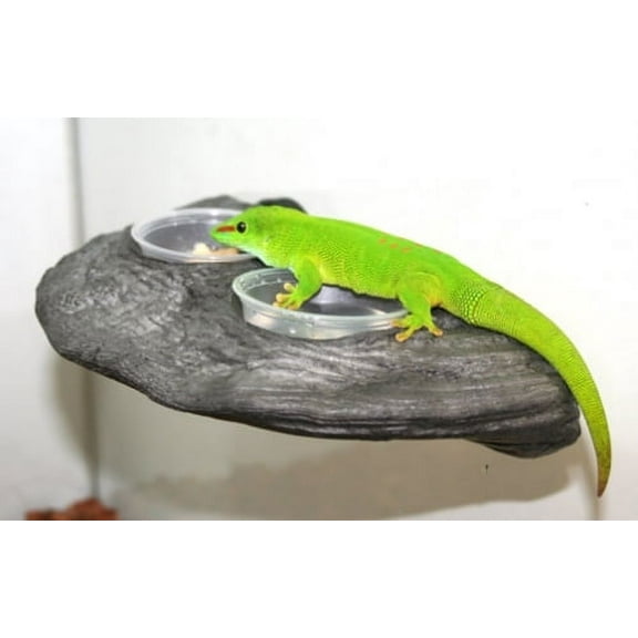 Magnaturals Magnetic Gecko Ledge (Granite)