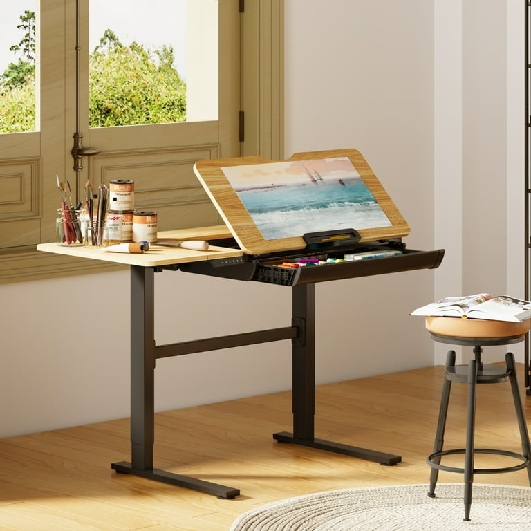 FLEXISPOT E7/E7pro Standing Desk Dual Motor Height Adjustable Desk