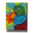thumbnail image 1 of Epic Graffiti 'Bird in the Tropics II' by Carolee Vitaletti, Canvas Wall Art, 26"x34", 1 of 3