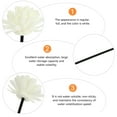 thumbnail image 3 of unbranded 4Ud De Rattan Para Difusor De Perfume Con Flor Para, 3 of 8