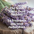 thumbnail image 4 of Yankee Candle Scented Candle, Dried Lavender & Oak, 20 oz Signature Large Tumbler, 4 of 8