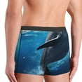 thumbnail image 3 of KLL Ice Blue Ocean Cute Dolphin Men's Cotton Boxer Briefs Underwear-Large, 3 of 8
