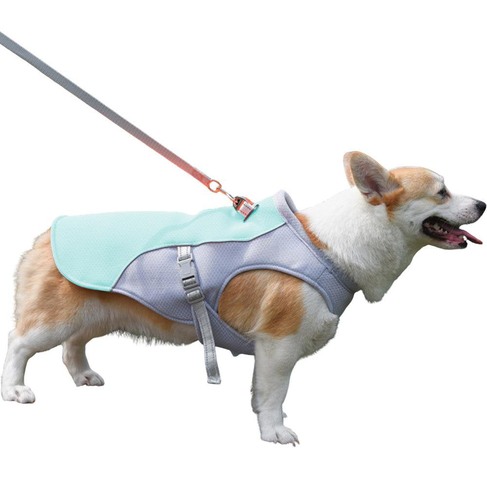 Dog hiking vest discount
