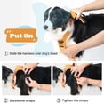 thumbnail image 4 of 2023 NewDog Harness with Retractable Dog Leash as One No-Pull Pet Harness with Adjustable Soft Padded Dog Vest ShopWise Round, 4 of 31