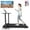 Black-APP-80cm, variant on MJWW Walking Pad 2 in 1 Under Desk Treadmill, 2.5HP Low Noise Walking Pad Running Jogging Machine with Remote Control for Home Office, Lightweight Portable Desk Treadmill Installation Free