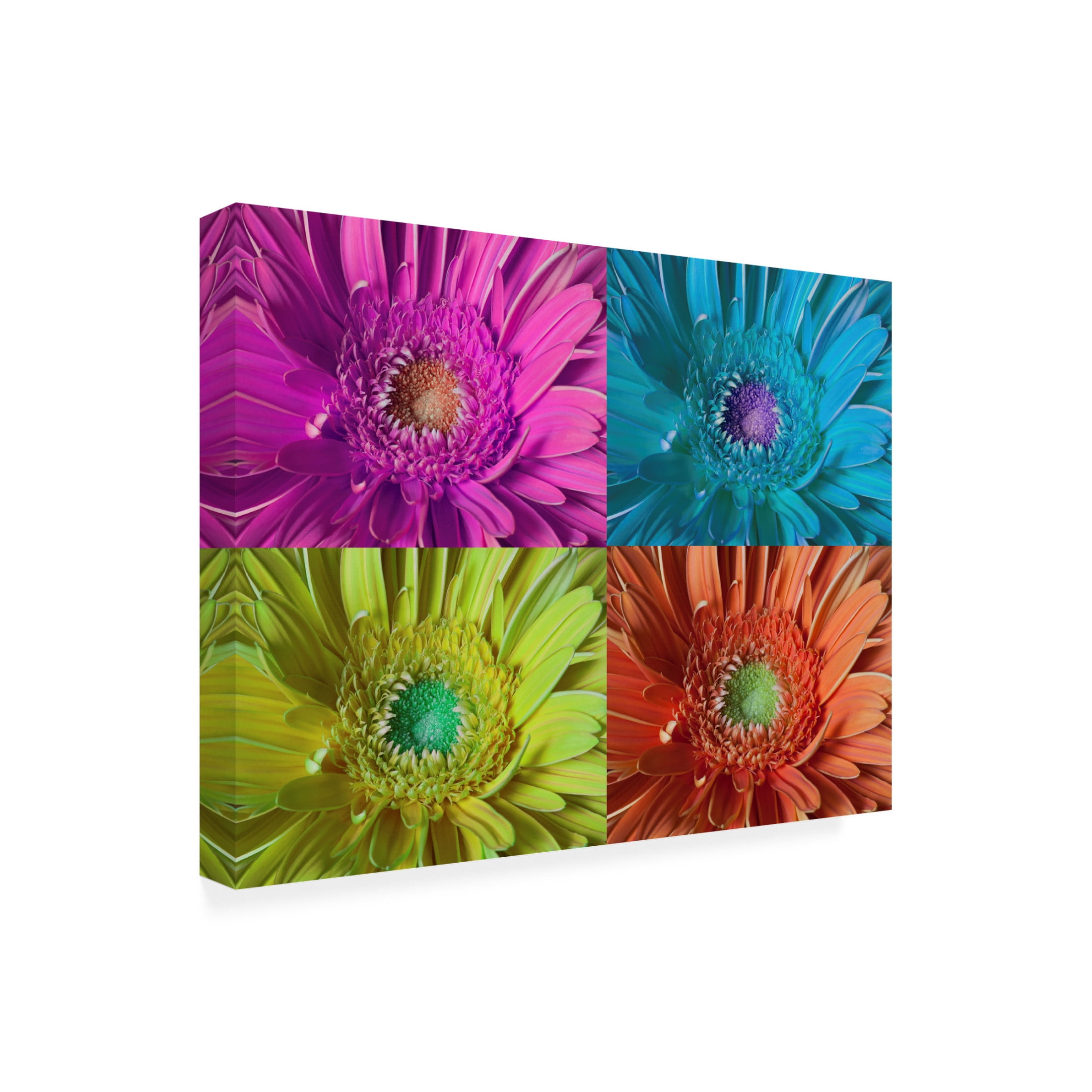 Canvas Wall Art - Lori Hutchison 'Chryst-Mum' Wall Art for Living Room, Bedroom, or Office Décor by Trademark Fine Art - 19 x 14 Inches