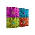 thumbnail image 3 of Canvas Wall Art - Lori Hutchison 'Chryst-Mum' Wall Art for Living Room, Bedroom, or Office Décor by Trademark Fine Art - 47 x 35 Inches, 3 of 4
