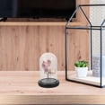 thumbnail image 4 of WEUVEB 1Pack Display Riser Glass Dome Display Square Black Wood Material For Flower Display In Office, 4 of 8
