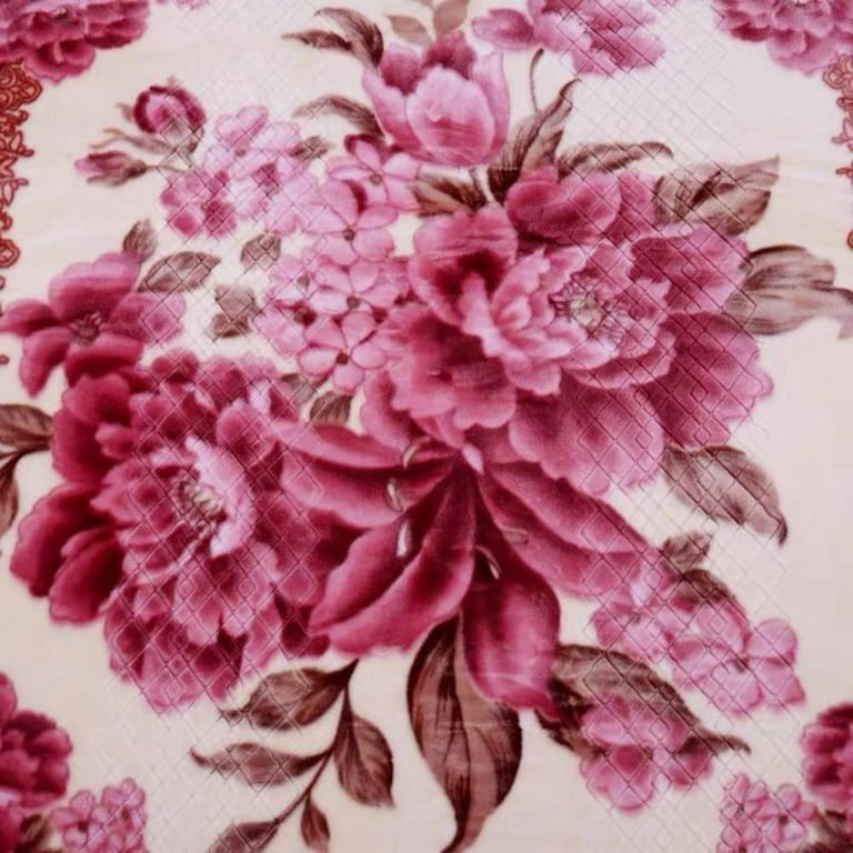 DBOZE Queen Size Weighted Warm Heavy Korean Mink Fleece Blanket