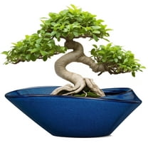 12 inch Ceramic Shallow Large Planter -Modern Ceramic Pot with Drainage, Shallow  Succulent Pots for Plants Watering Bonsai Trees, Housewarming Gift ,Blue