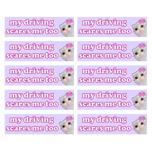 Car Sticker - My Driving Scares Me Too Self Adhesive -