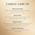 thumbnail image 5 of Yankee Candle Sun & Sand Large Tumbler Scented Candles, 20 oz, 5 of 8