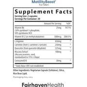 FertilAid for Men, MotilityBoost, Countboost Bundle (1 Month Supply) Fertility Supplements
