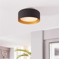 thumbnail image 3 of Lynch 10 in. 1-Light Black and Gold Flush Mount Ceiling Fixture, 3 of 10