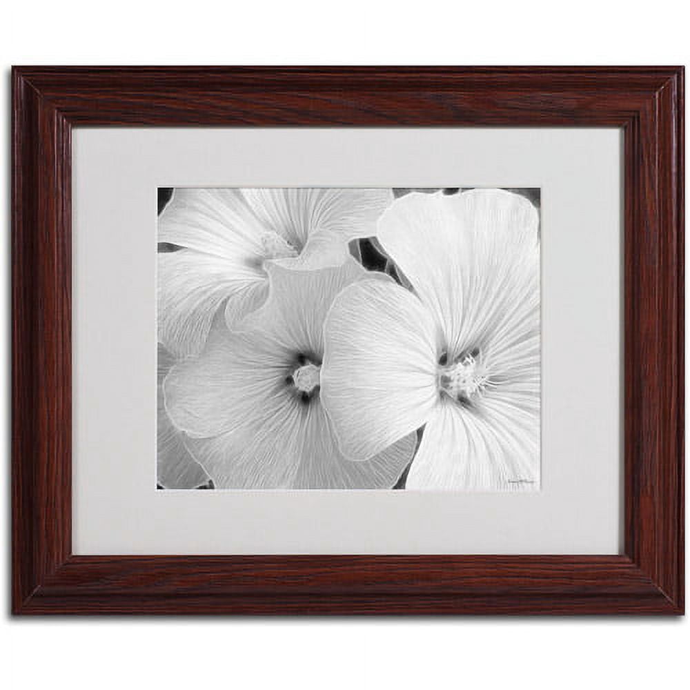 Trademark Fine Art "Sheer Malva" Canvas Art by Kathie McCurdy, Wood Frame