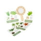thumbnail image 5 of Tarjetas didácticas sobre plantas,Tarjetas didácticas divertidas de plantas con lupa,Foto realista de aula ligera,Juguetes educativos portátiles,juegos de actividades de, 5 of 9