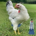 thumbnail image 5 of 1 Pcs Pet Chicken Diapers Duckling Diapers Reusable Gooses Clothes Washable Pet Diapers With Tie For Poultry, Usupdd 2025 1 Pcs Pet Chicken Diapers, 5 of 6