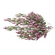 thumbnail image 3 of Guirnalda de lavanda artificial simulación floral decoración colgante de pared de plástico vid flor falsa de ratán, rosa roja 2 piezas sidaley HA8169-03B, 3 of 6