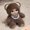 brown, variant on 18cm Cute Cartoon Animal Costume Plush Doll Set, 3 Styles Fluffy Sitting Stuffed Toy with Big Glitter Eyes, Mini Collectible Decorative Plush Gift for Girls