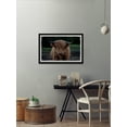 thumbnail image 4 of Marmont Hill Staring Bull Framed Wall Art, 12" x 18", 4 of 6